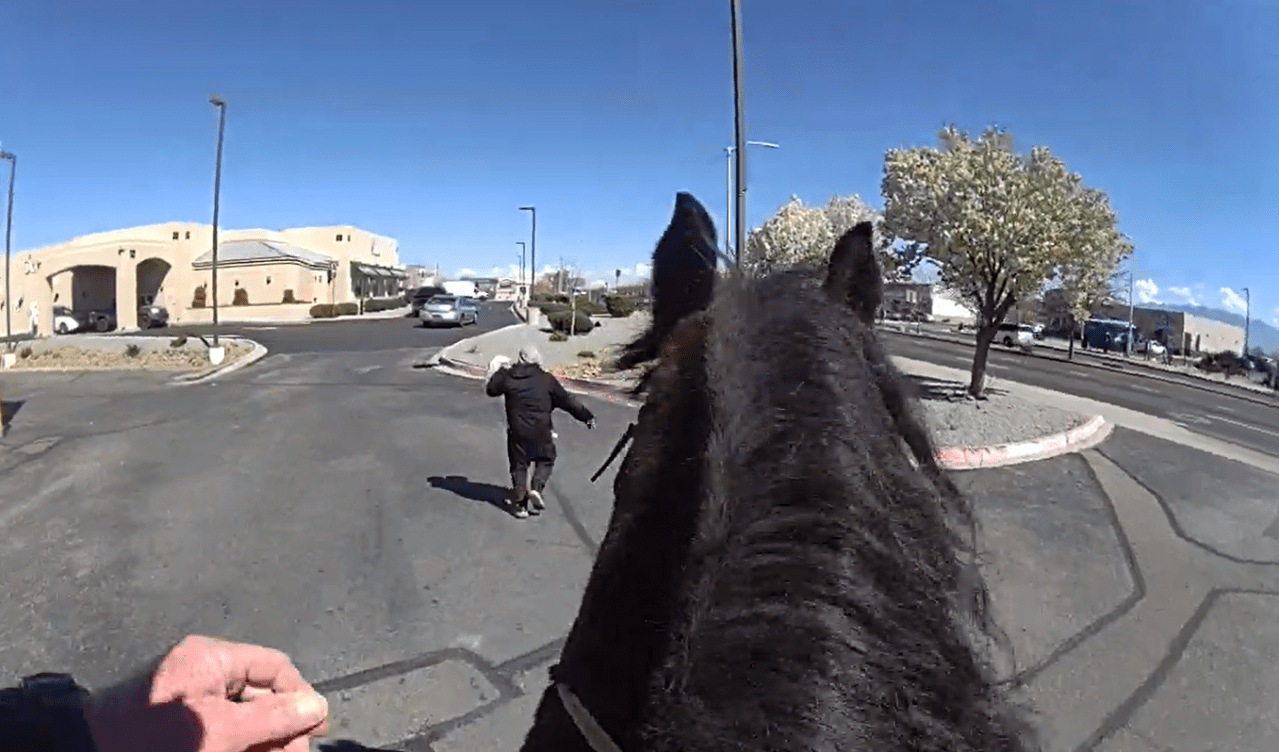 Featured image for "Albuquerque Police Pursue Accused Shoplifter in Horse Chase"
