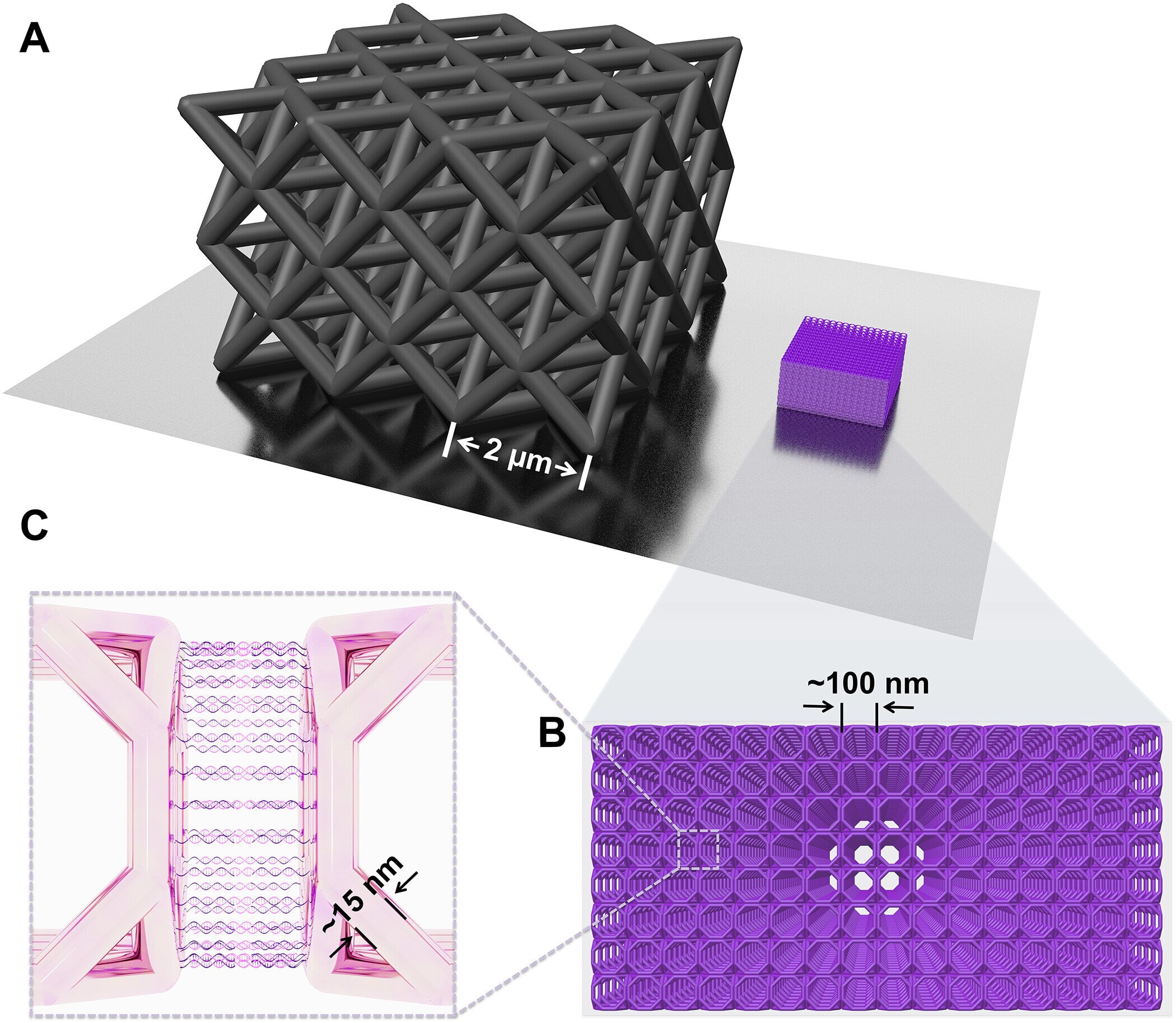 Featured image for "DNA-Based Nanostructures Forge Ultra-Strong Metamaterials"