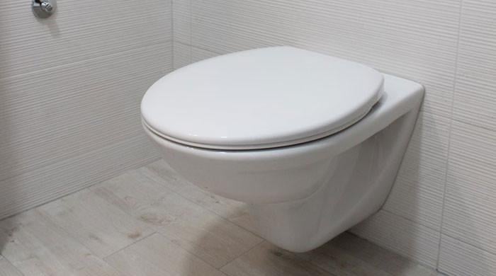 Featured image for "The Toilet Lid Debate: Does It Really Matter for Flushing?"