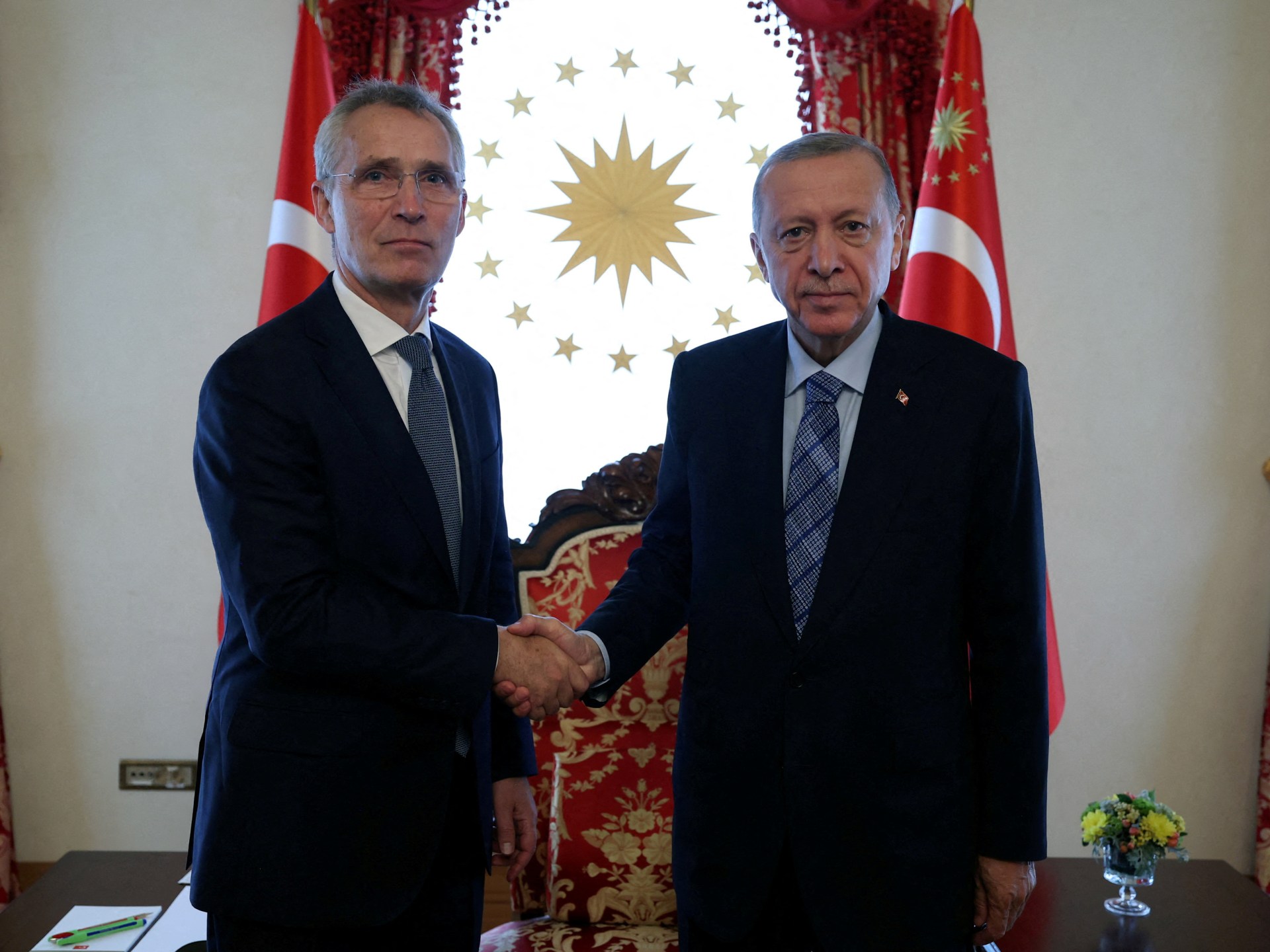 Erdogan dismisses Sweden's NATO aspirations at Vilnius summit.