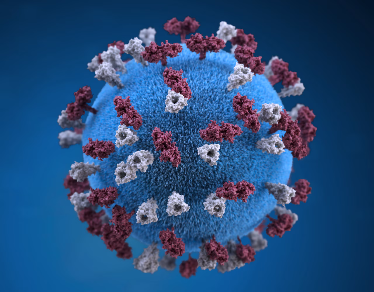 CDC issues travel warnings and urges vaccination amid rising measles cases