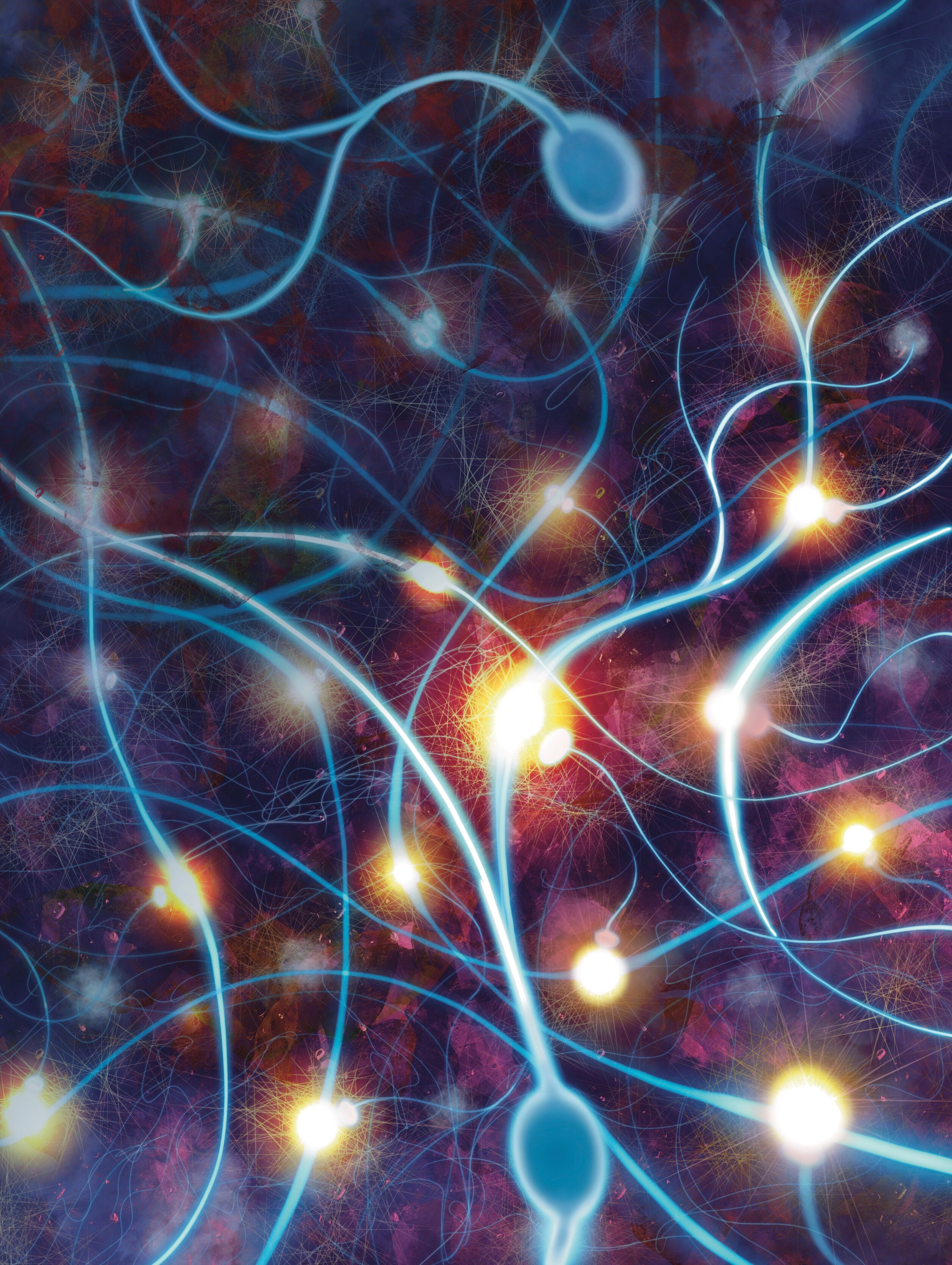 Featured image for "Protein Discovery Offers Potential Alzheimer's Synapse Repair Solution"