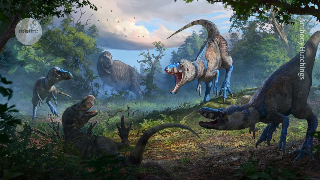 Featured image for Reevaluation of 'Teenage T. rex' Fossil Reveals a New Dinosaur Species