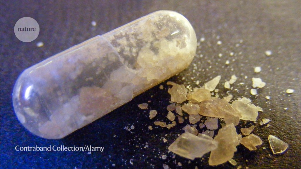 Featured image for The Potent Health Benefits of Psychedelic Drugs and Their Impact on Learning and Social Reward Learning.