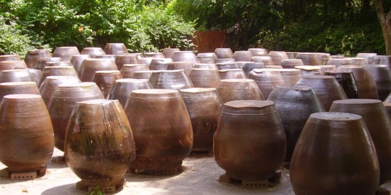 Featured image for Traditional Clay Jars Produce the Best Kimchi and Other Innovations in Science