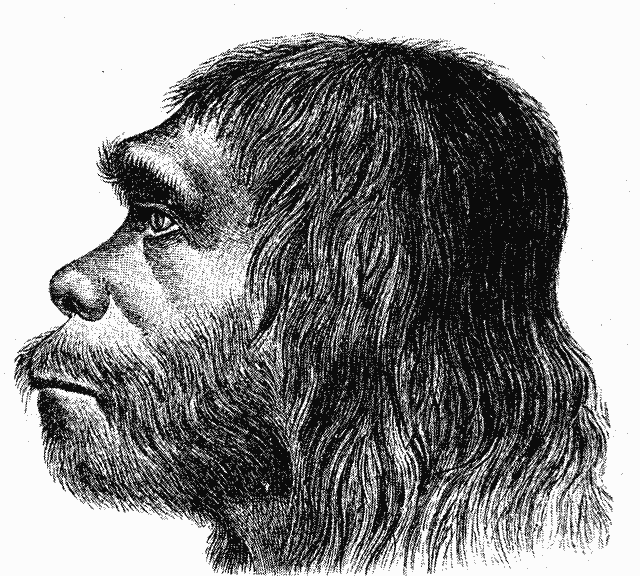 Featured image for Neanderthals Inherited 6% of Genome from Extinct Humans, Study Finds