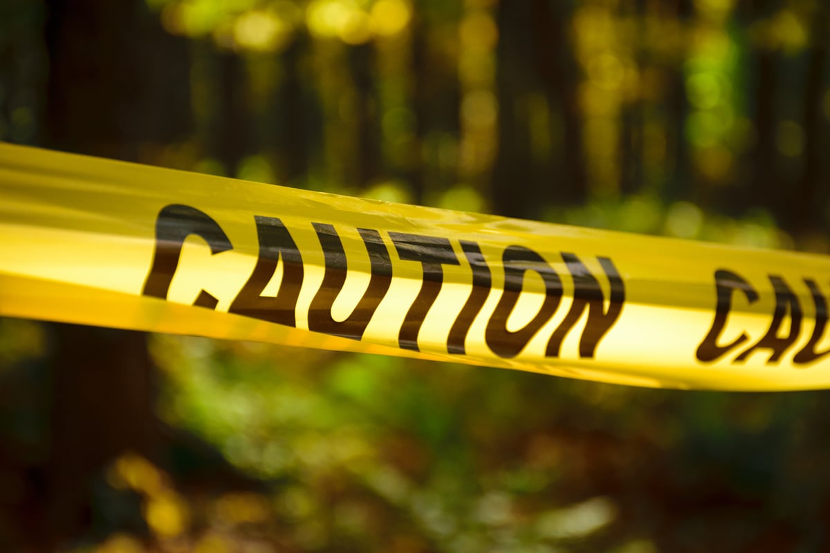 Featured image for "Top 5 Bargain S&P 500 Dividend Stocks to Buy Now"