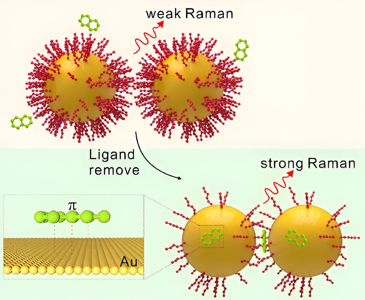 Featured image for "Revealing the Mysteries of Aromatic Molecules' Bond with Gold"