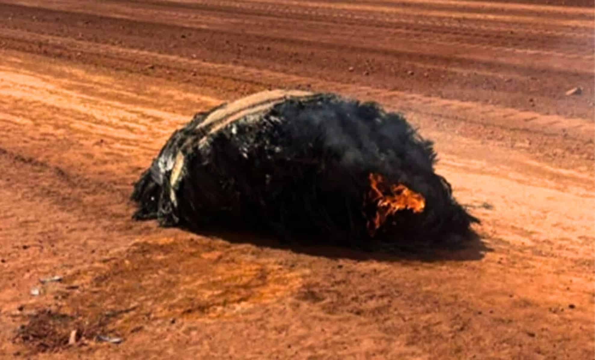 Featured image for Mysterious Space Debris Discovered in Australian Desert