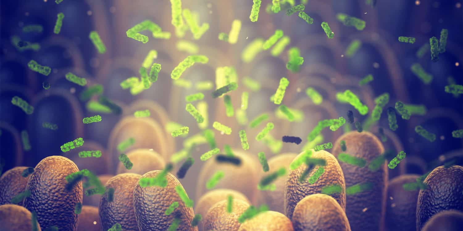 "Gut Bacteria Linked to Severity of Depression and Anxiety"