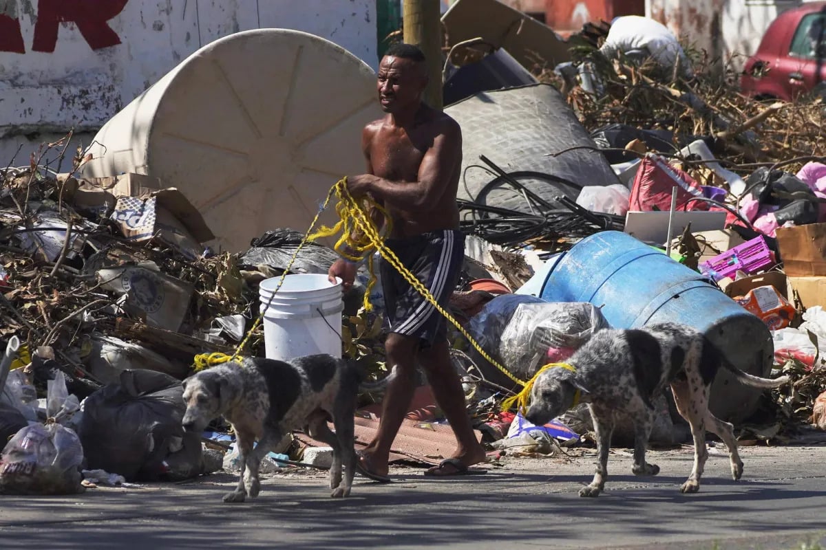 Featured image for Acapulco's Post-Hurricane Nightmare: Cockroaches and Trash Overwhelm