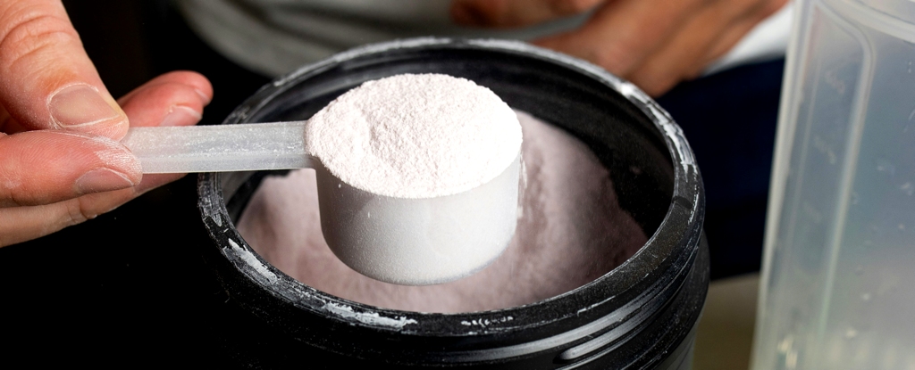 Featured image for The Truth About Excess Protein and Its Impact on Your Health