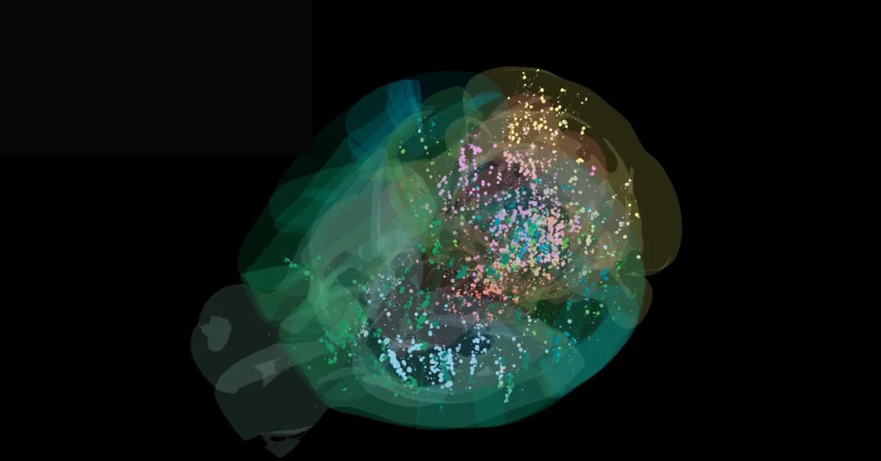 Featured image for Scientists Unveil First Brain-Wide Map of Decision-Making Processes