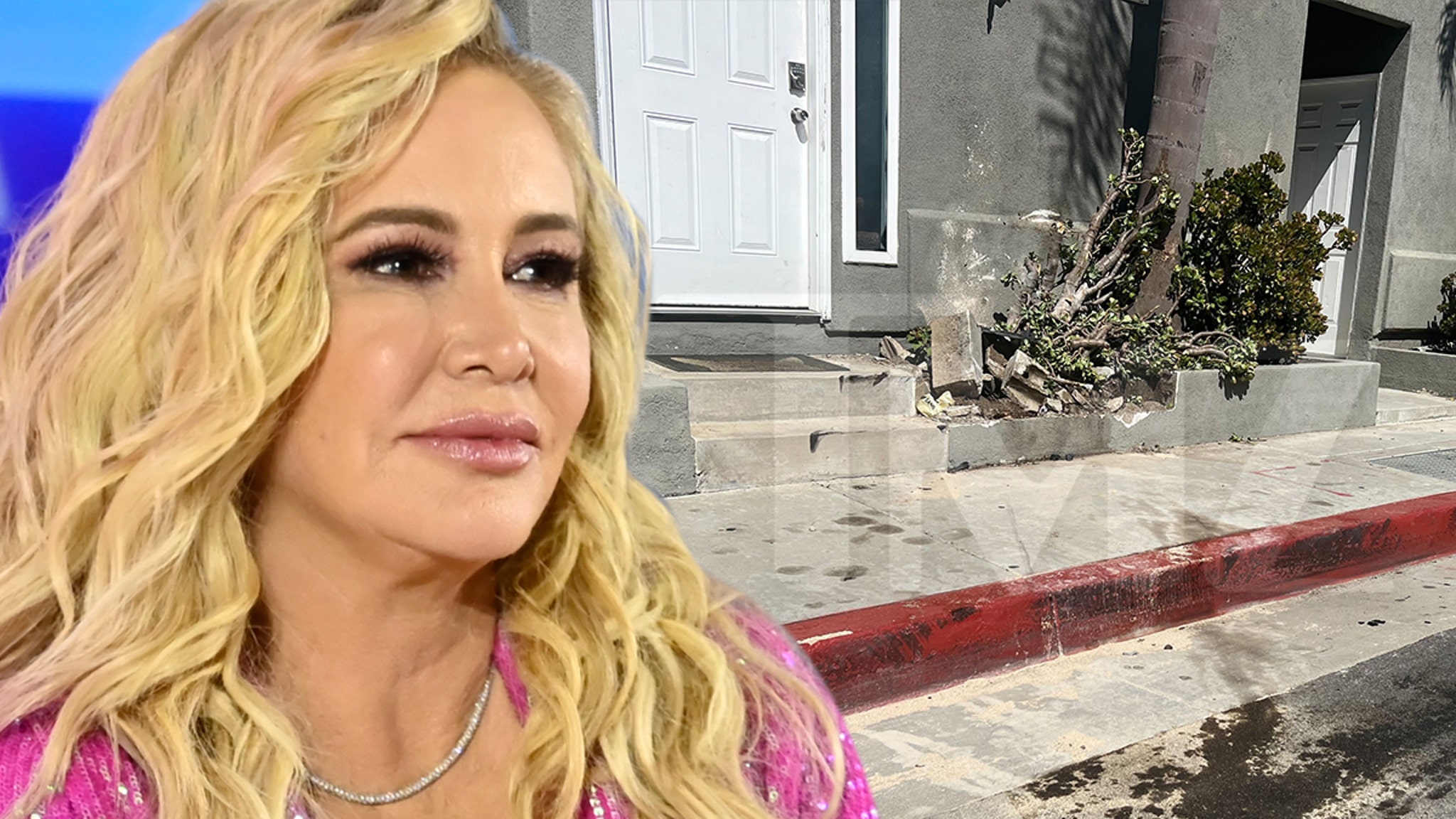 Shannon Beador's DUI Fallout: Paying the Price for Fame