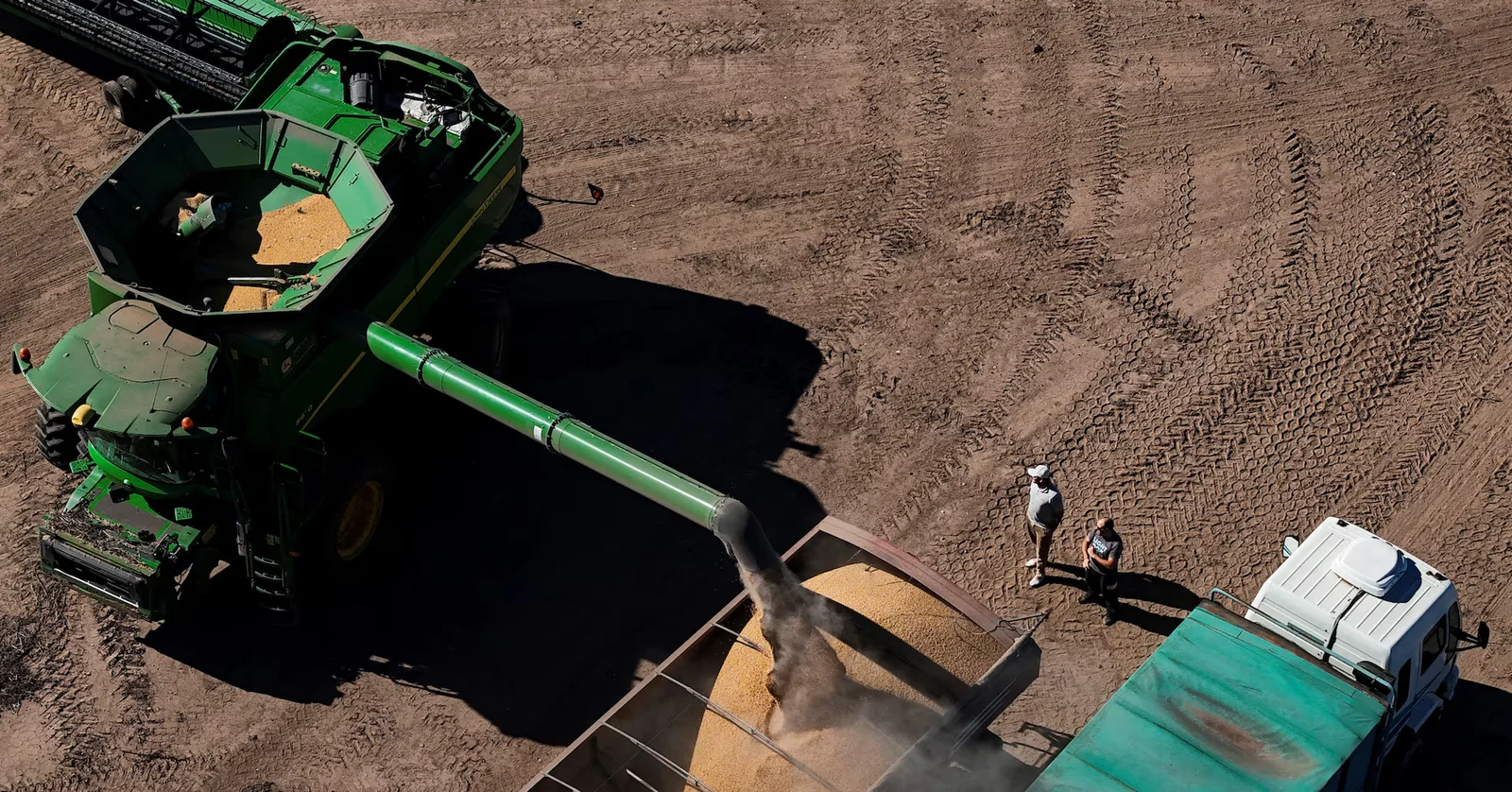 China increases soybean imports from Argentina to 20 cargoes, traders report