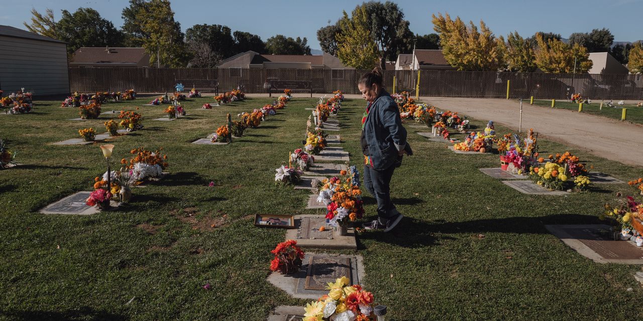 Featured image for The Elusive Link: Pesticides and Cancer Connection Remains Challenging to Prove