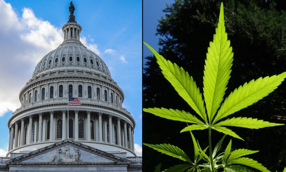 Featured image for "Biden Administration Faces Congressional Scrutiny Over Marijuana Rescheduling Plans"