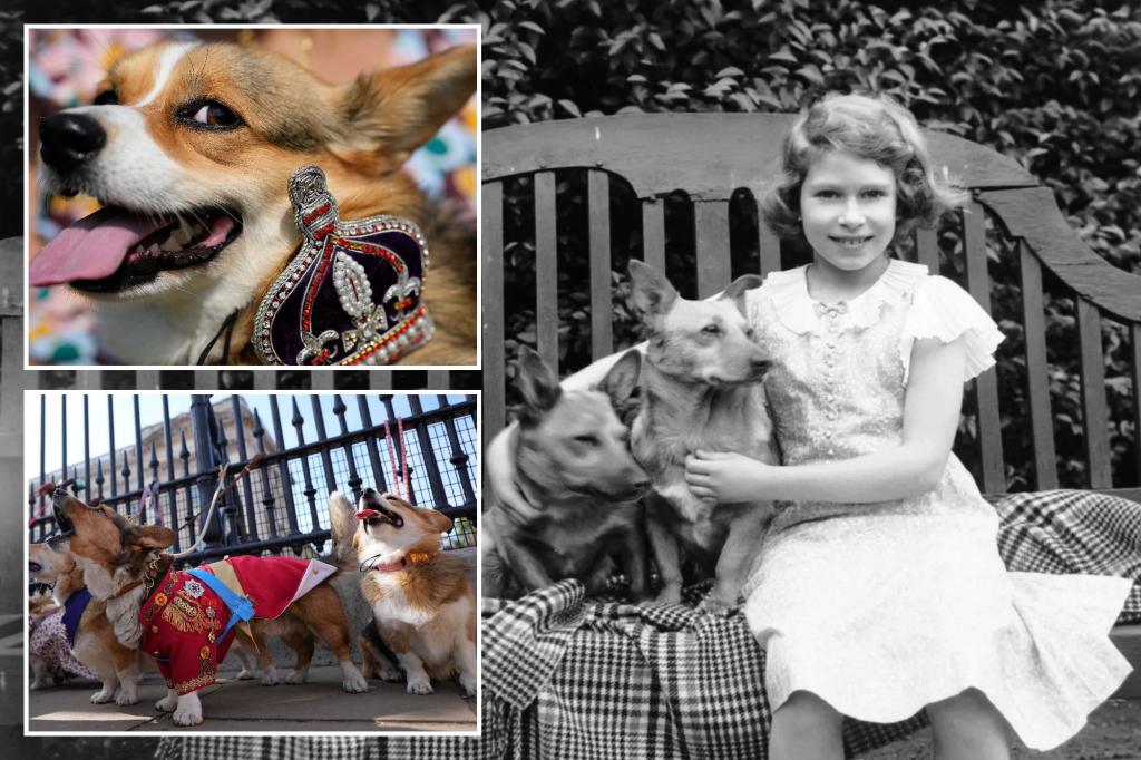 "Queen Elizabeth II's Beloved Corgis Honored in Memorial Parade"