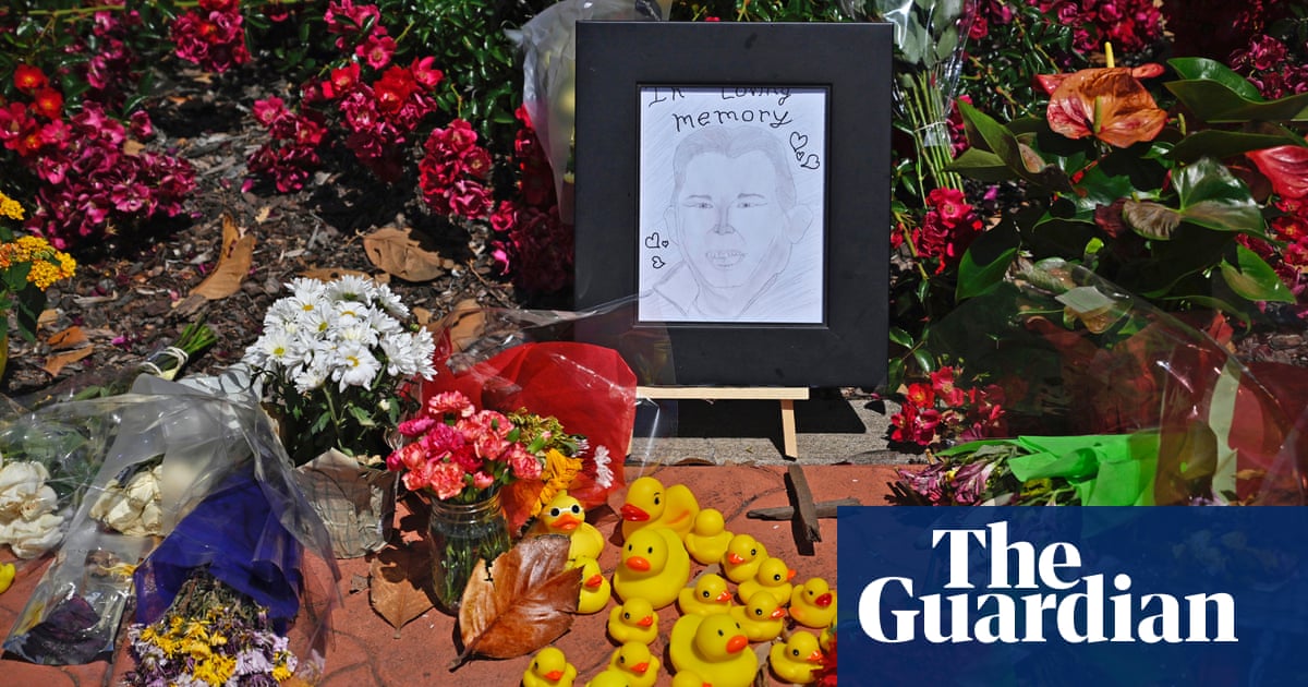 Good Samaritan killed while helping ducks cross California street