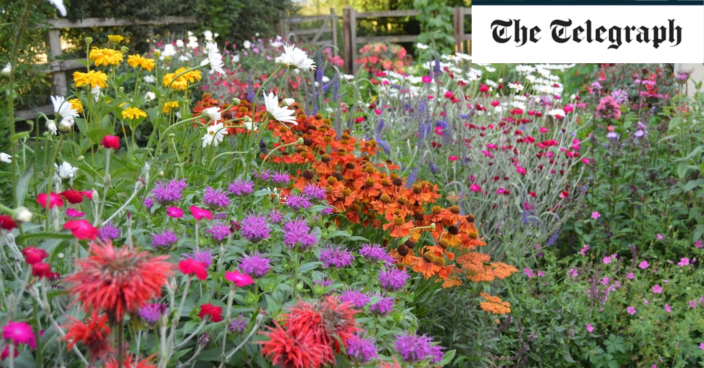 Featured image for "Creating a Stunning Summer Border in a Small Garden"