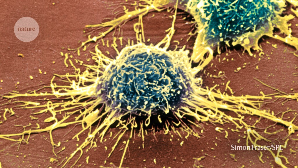 Featured image for "Unlocking the Potential: CRISPR Gene Editing Offers Hope for Alzheimer's Treatment"