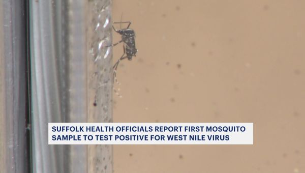 Featured image for West Nile Virus Spreading Across Multiple US Counties