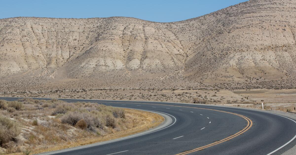 Featured image for California Highway Encounter: Baby Tiger or Something Else?