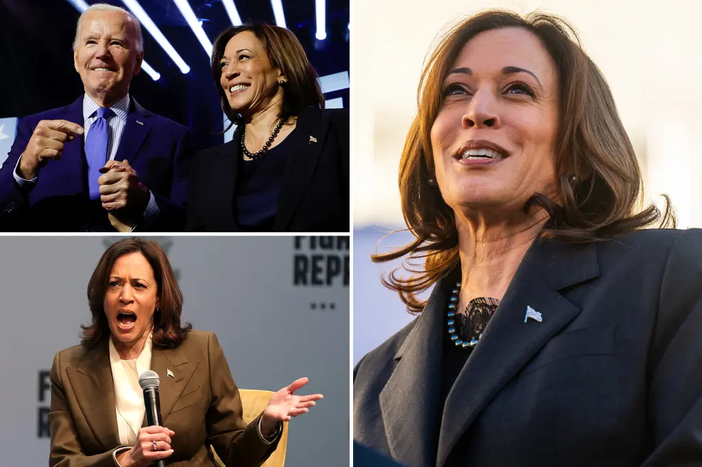 "Kamala Harris Asserts Readiness to Lead Amid Concerns Over Biden's Age"