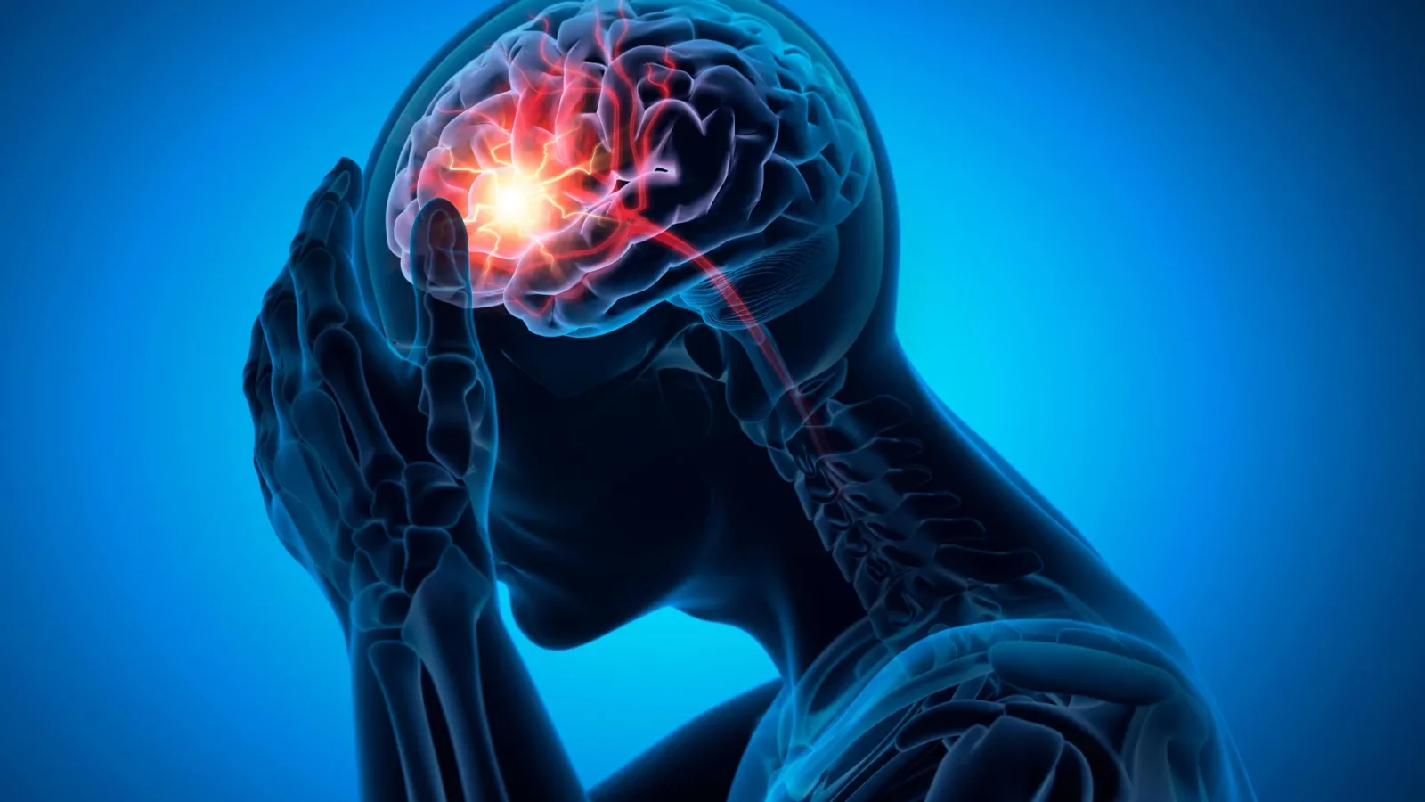 Erythritol Shown in Lab to Impair Brain Vessels, Potentially Elevating Stroke Risk