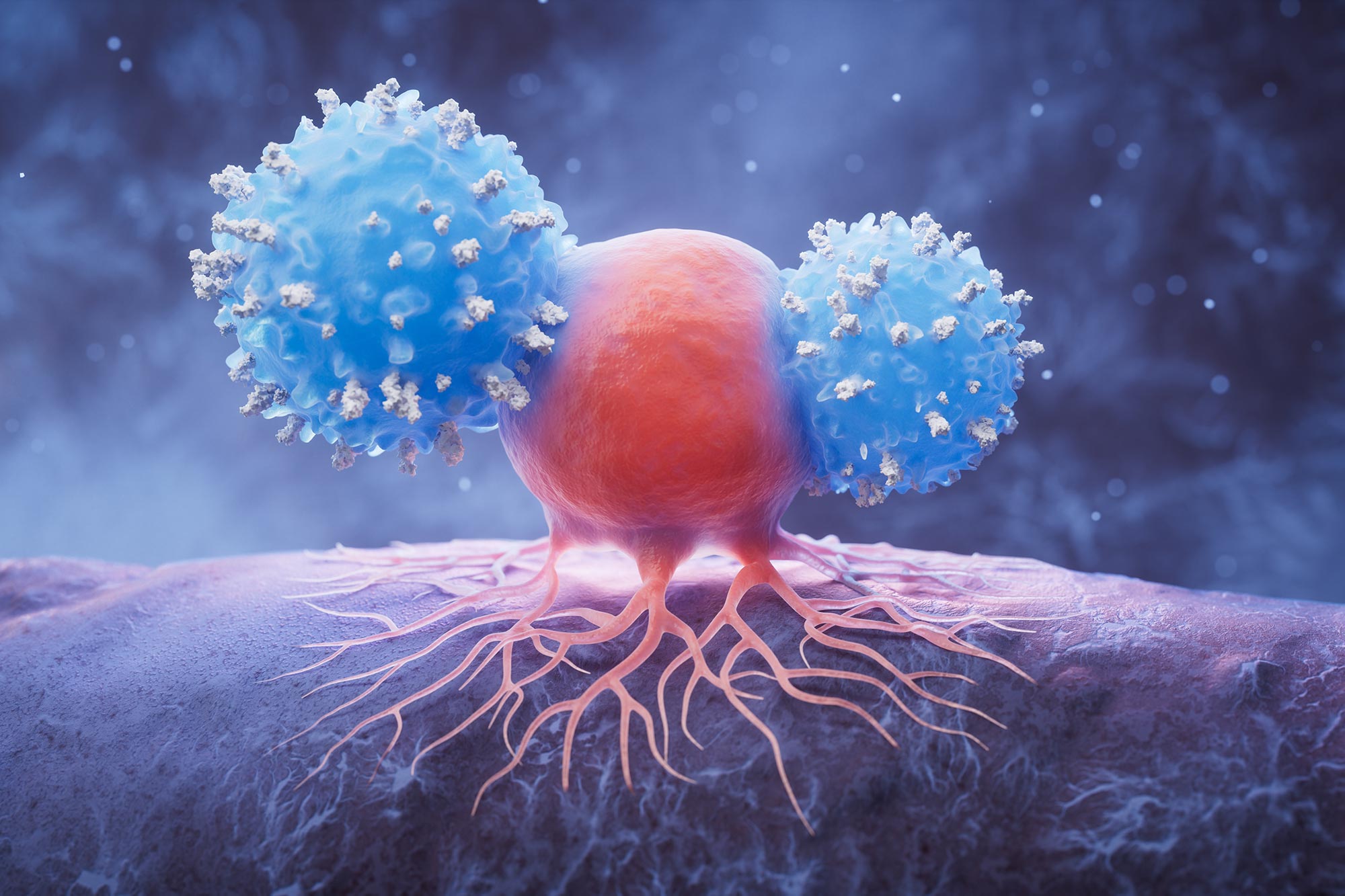 Featured image for Scientists Solve 30-Year Puzzle of 'Holy Grail' Cancer Drug