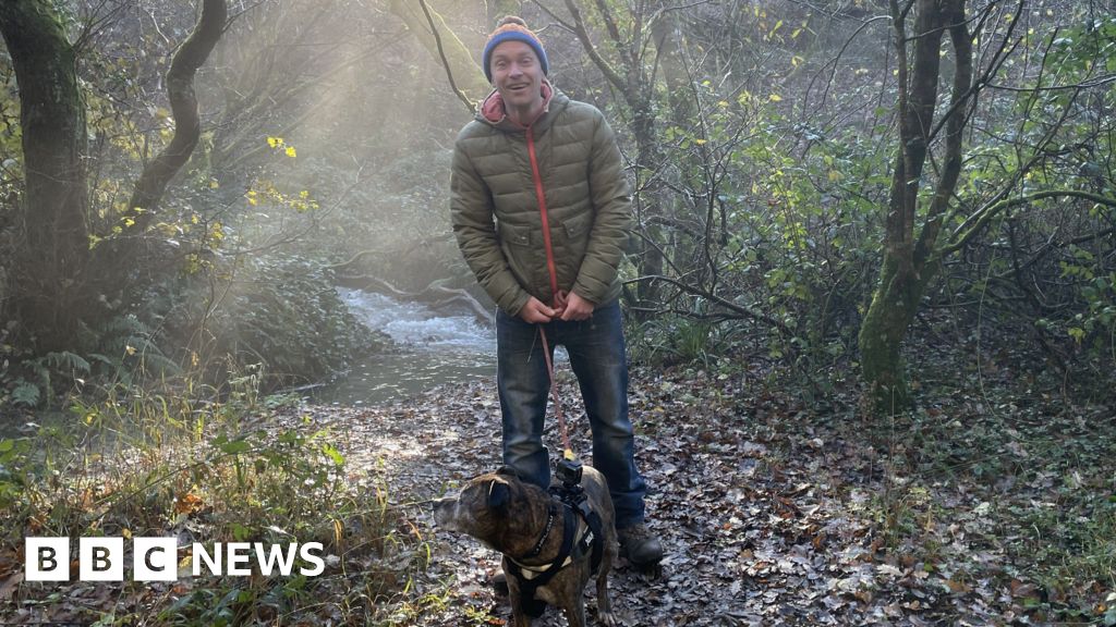 Featured image for Devon man creates dog walking app after redundancy