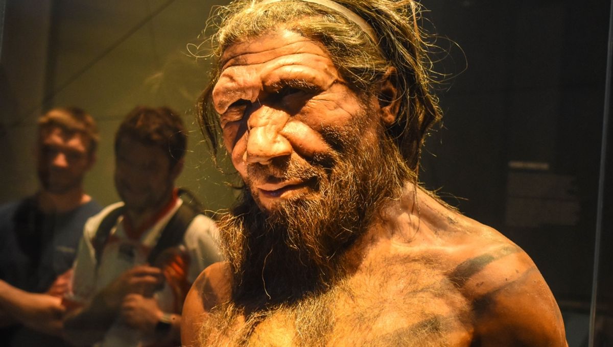 Unraveling the Neanderthal Language Mystery