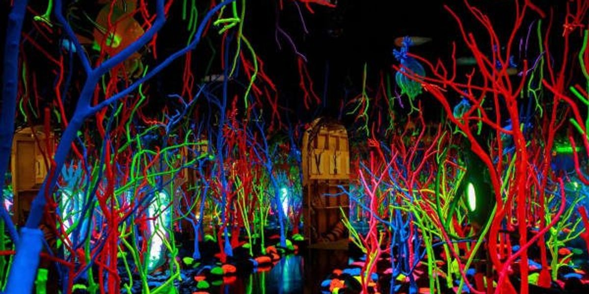 Featured image for "Discover the Enchanting World of Meow Wolf at Grapevine Mills Mall"