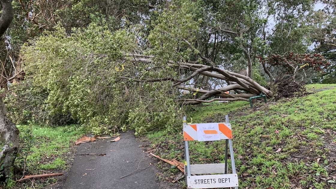 Featured image for "California Storm Update: Power Outages and Road Closures Persist"