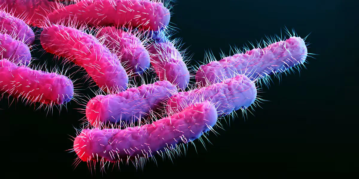 Broome County Sees Uptick in Shigellosis Infections, Public Health Warns