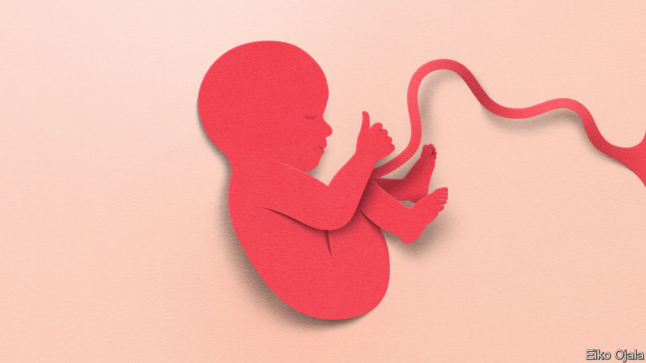 Revolutionary Research Offers Hope for Improving IVF Success Rates