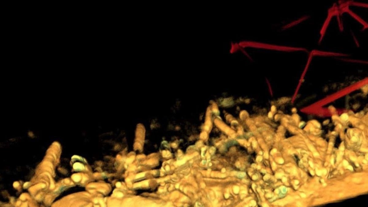 "Underwater Sonar Reveals Mangled Wreckage of Baltimore's Key Bridge Collapse"