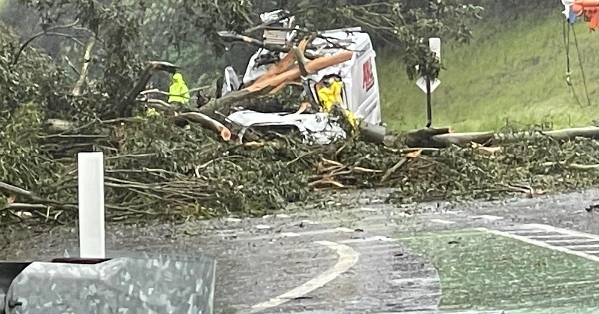 Fatalities Caused by Falling Trees in Bay Area Amid High Winds
