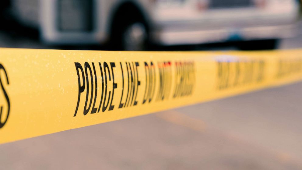 Featured image for Alaska Jogger Seriously Injured in Bear Attack Near Home