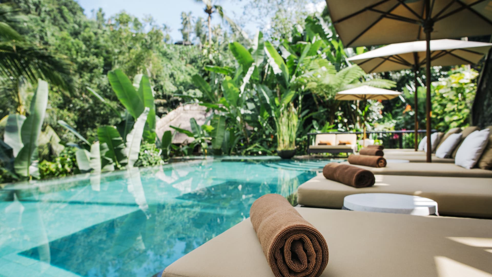 Featured image for "Resort Day Passes: Affordable Luxury for Travelers"