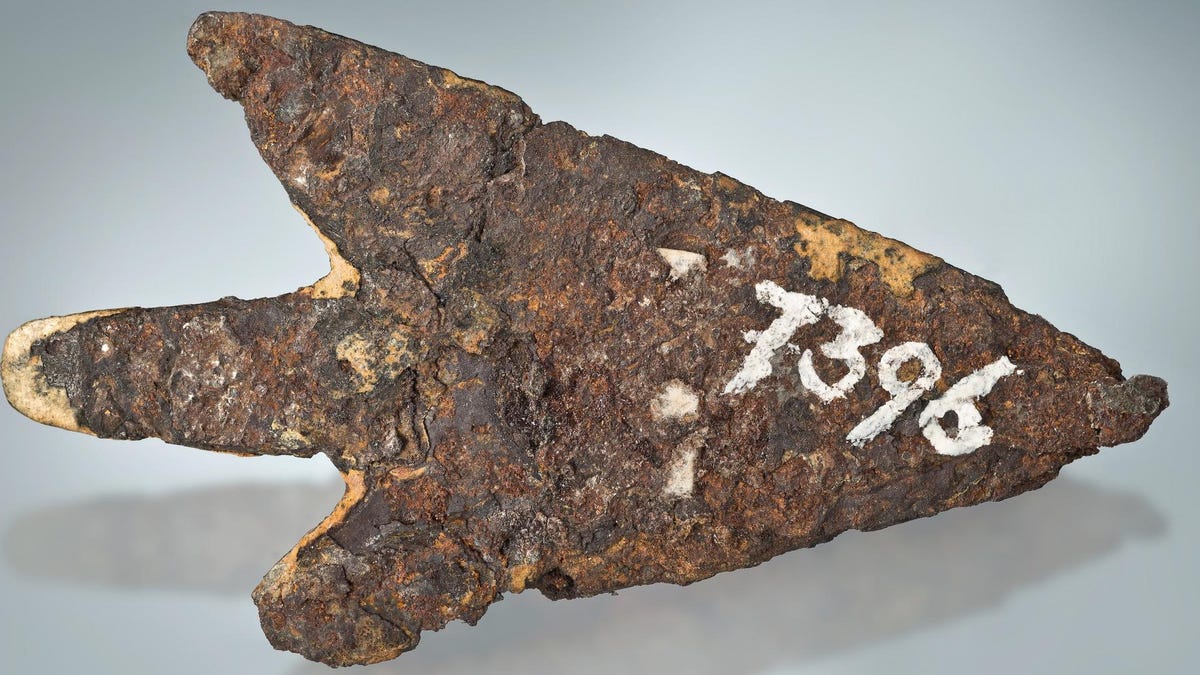 Featured image for "Meteorite Iron Discovered in Arrowhead near Lake Biel, Switzerland"