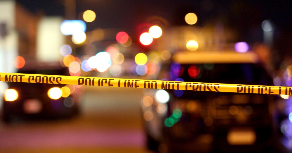 Featured image for Off-duty ICE and DHS agents involved in multiple fatal shootings in Los Angeles