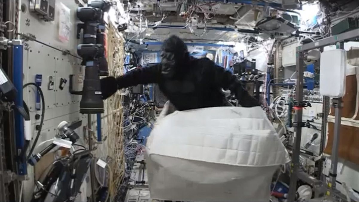 Out-of-this-world pranks: From space apes to sandwich smuggling.