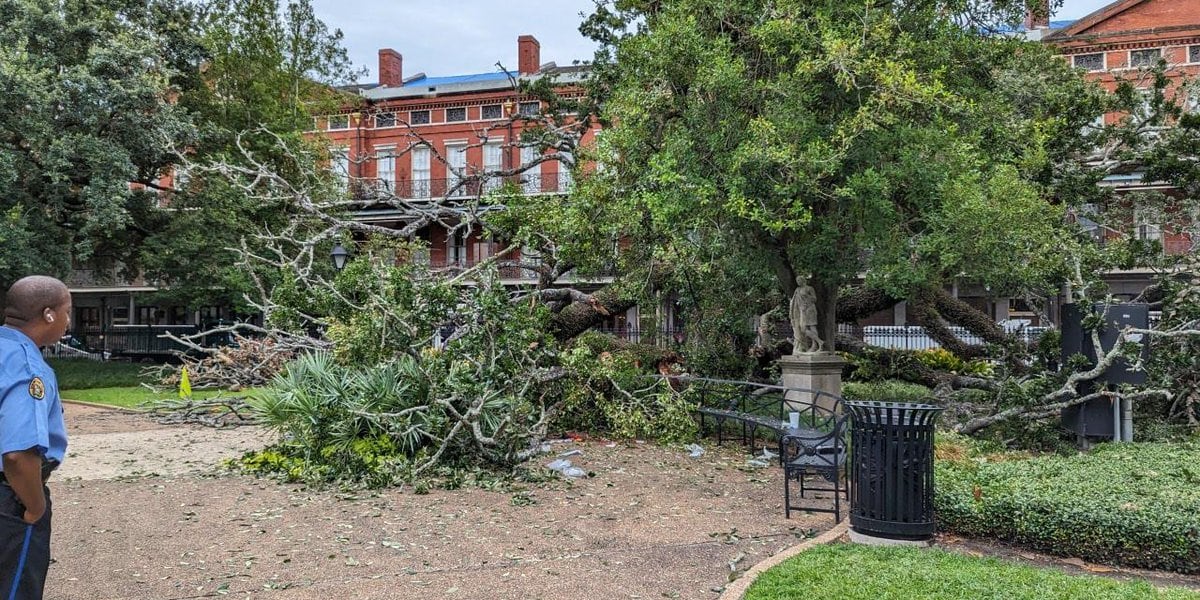 Featured image for Teenager's Life Hangs in Balance as Massive Oak Tree Collapses in Jackson Square