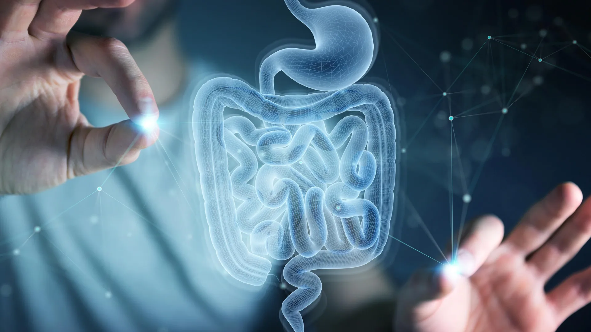 Featured image for MIT Finds Amino Acid That Promotes Gut Healing and Regeneration