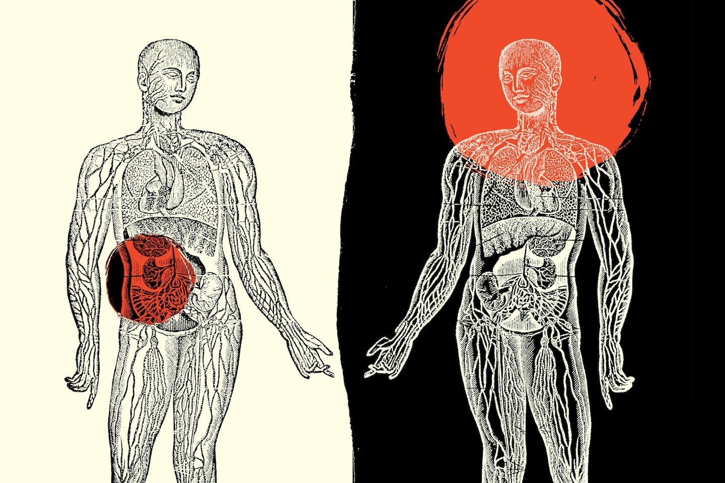 Featured image for "Variations in Organ Transplant Prioritization Criteria Among Medical Centers"
