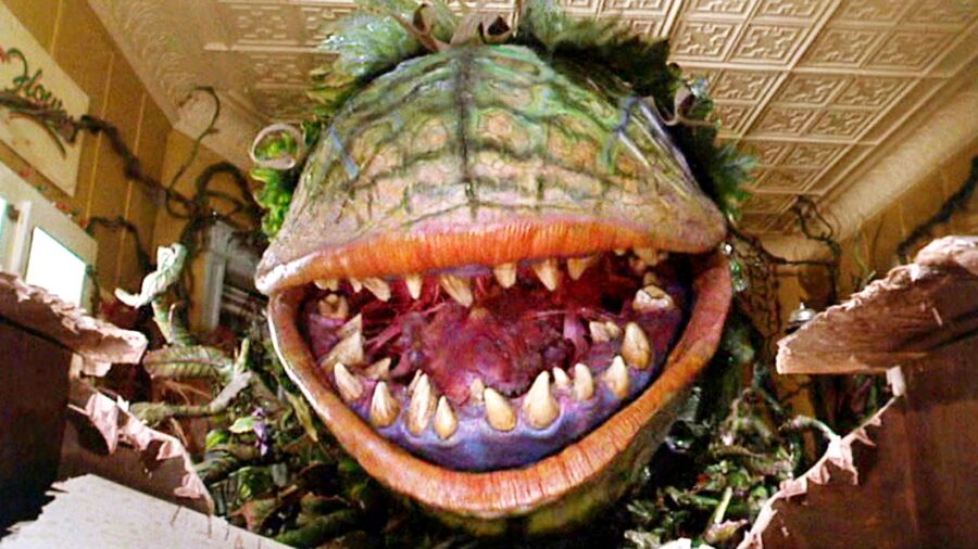 Featured image for Carnivorous Plant Devours Human Tissue