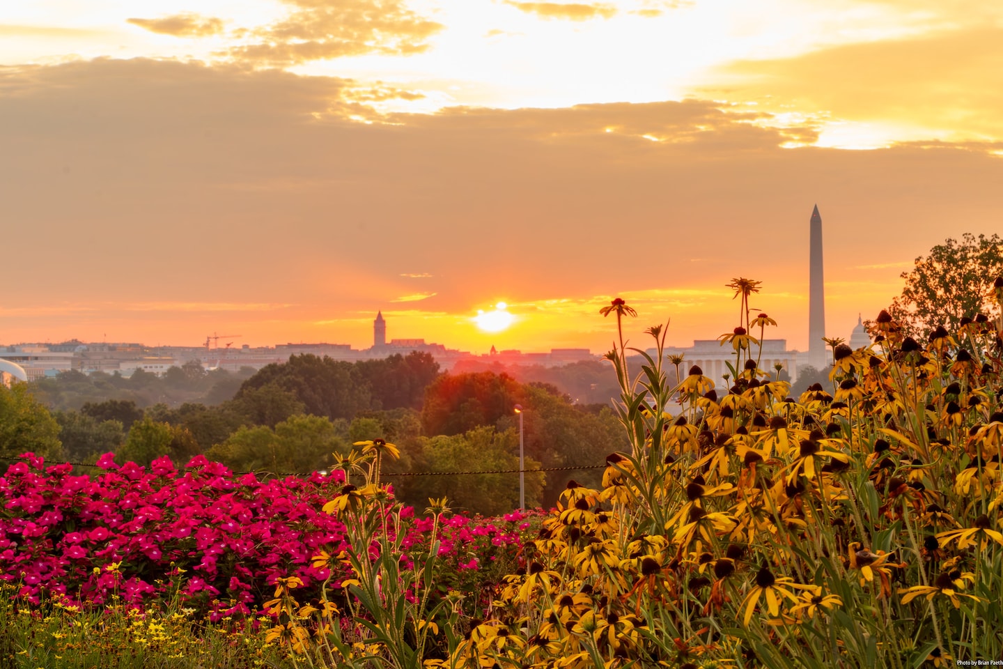 Featured image for Heatwave in DC: Record-breaking temperatures continue, but relief is on the way