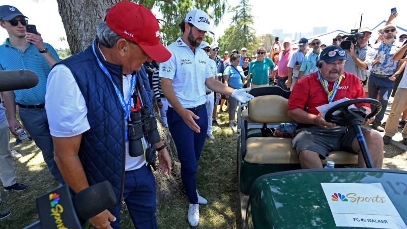 Cameron Young's Tee Shot Lands in Golf Cart Ball Holder at US Open