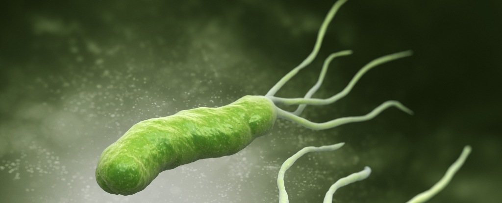 Featured image for Helicobacter pylori's CagA Protein May Help Combat Alzheimer's and Amyloid Diseases